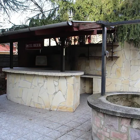 Tulipán Miskolc
