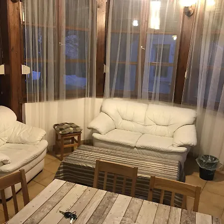 Tulipán * Miskolc